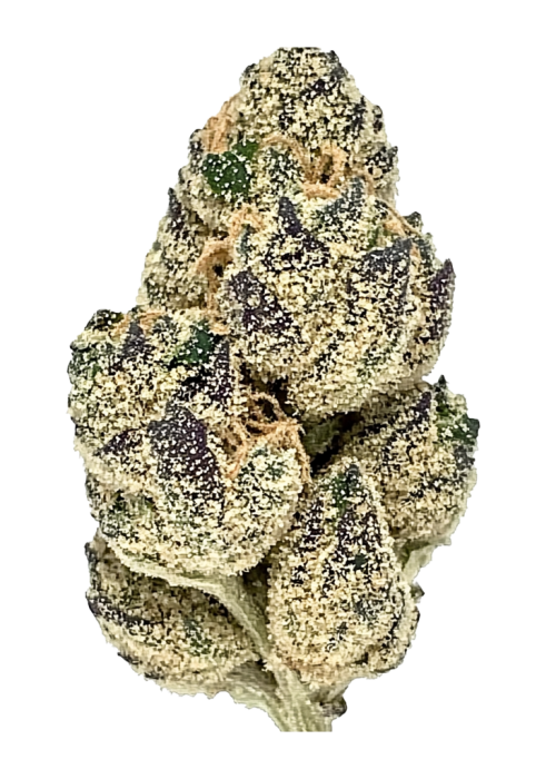 Russian Creme