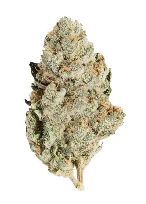 Kosher Kush