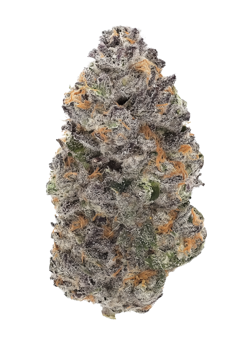 Cherry Burst