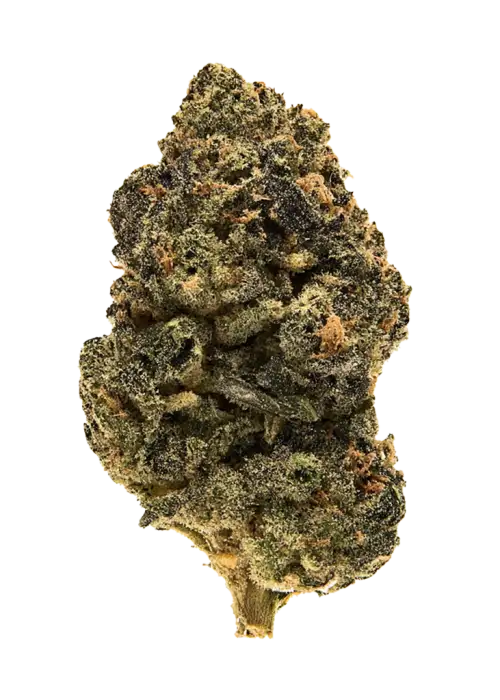 Tropical Trainwreck