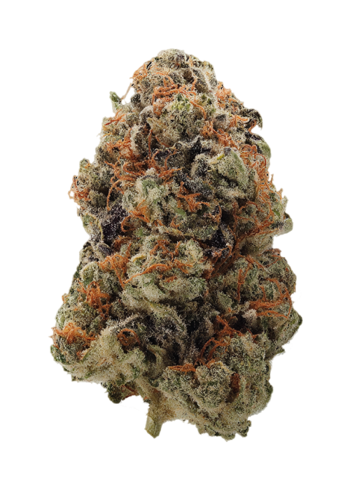 Orange Mints