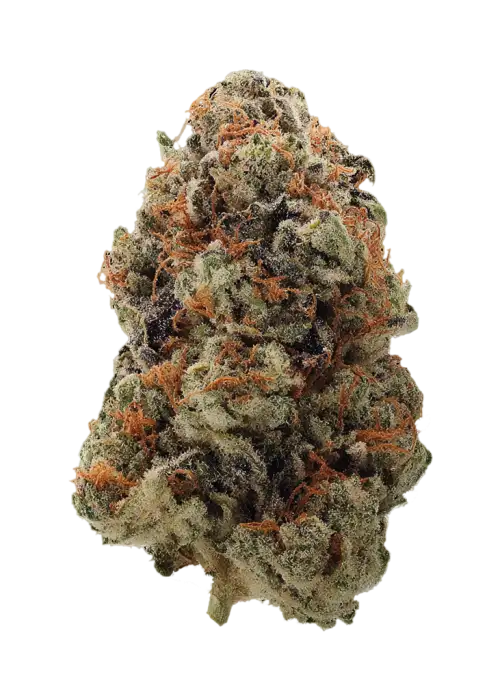 Orange Mints
