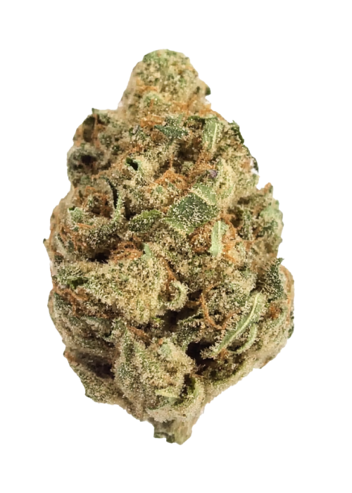 Jelly Rancher