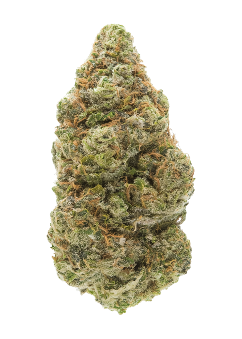 Gorilla Bomb