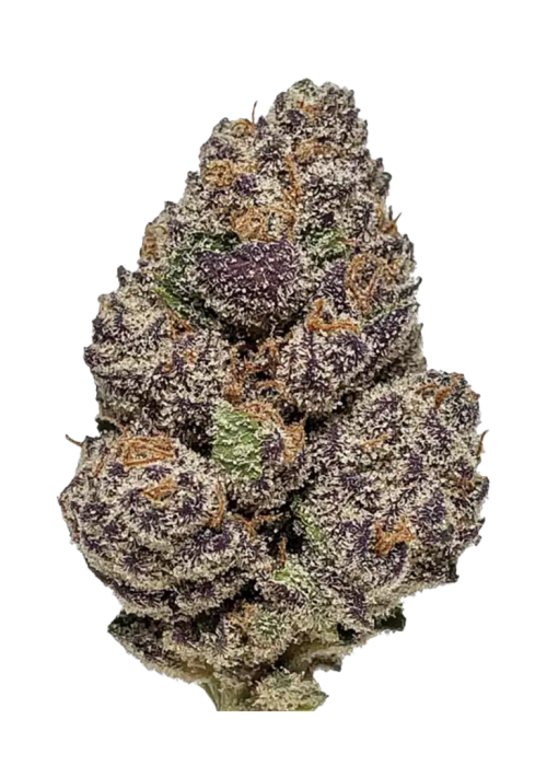 Tropical Cherry