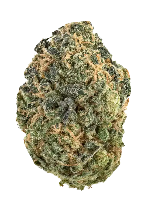 Blue Dream CBD