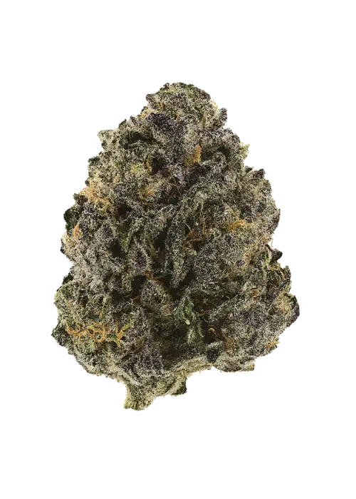 Caribbean Cookies
