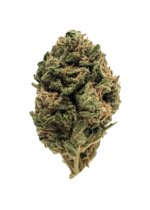 KC Kush