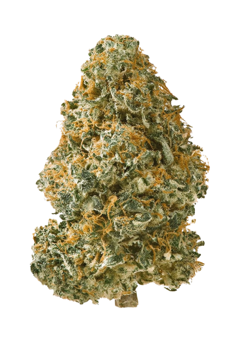 Animal Sherbert