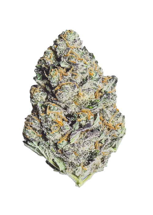 Blue Raspberry