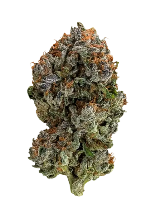 Pineapple Trainwreck