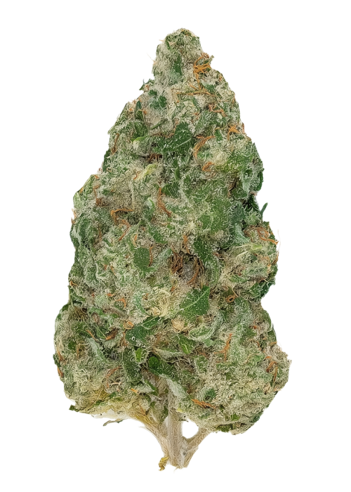 Jesus OG