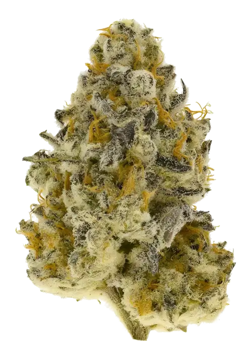 Purple Ice Cream