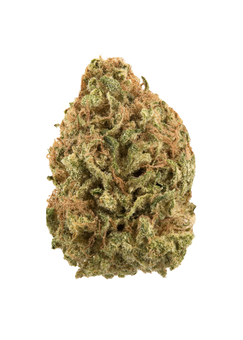 Lemon Zest