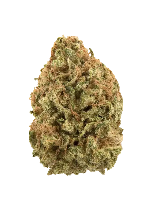 Lemon Zest