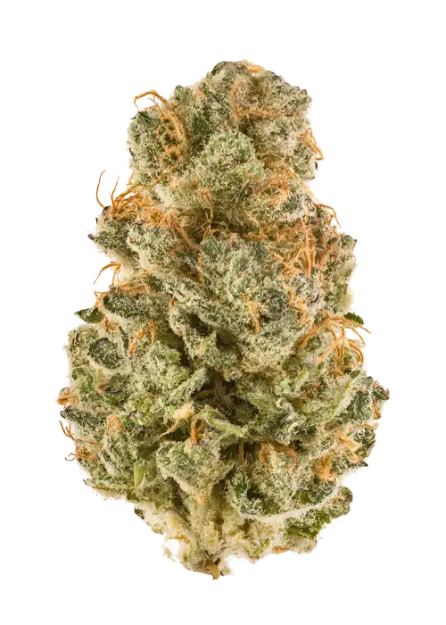 Super Cheese