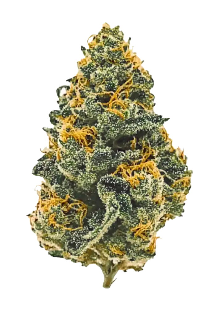 GMO Cookies