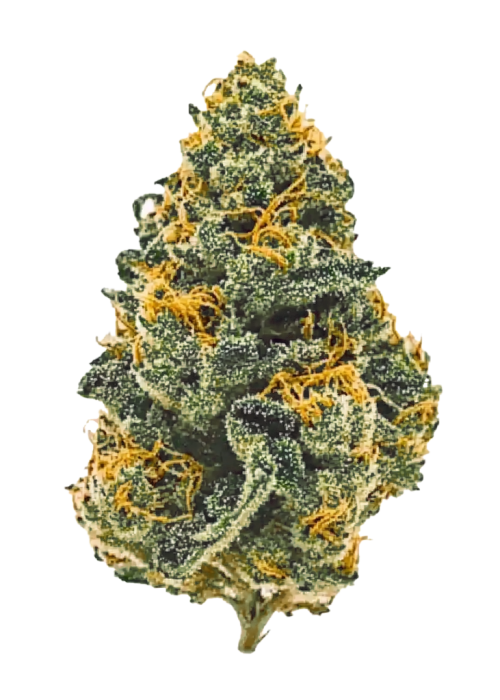 GMO Cookies