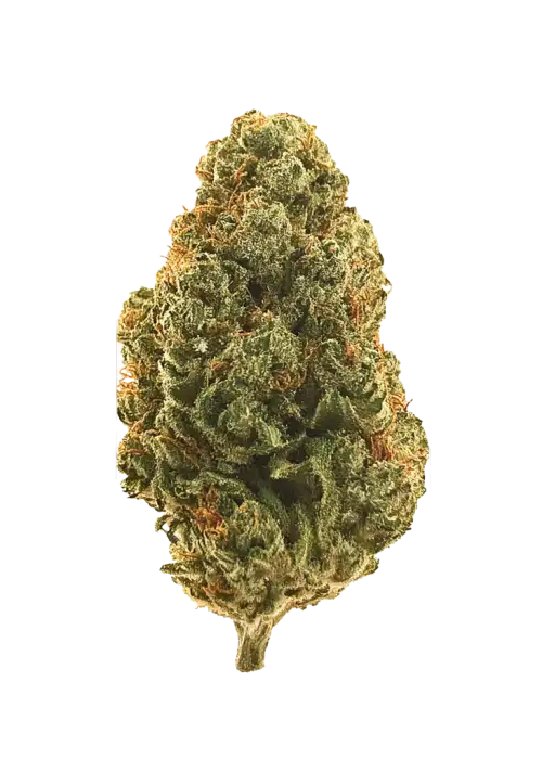 Lemon Sorbet #3
