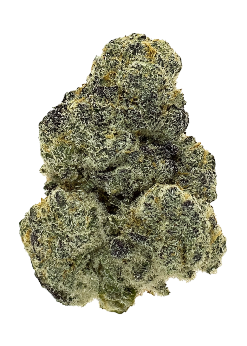Koolato