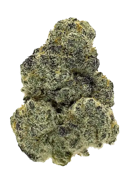 Koolato
