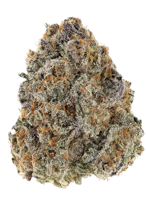 Sour Blueberry