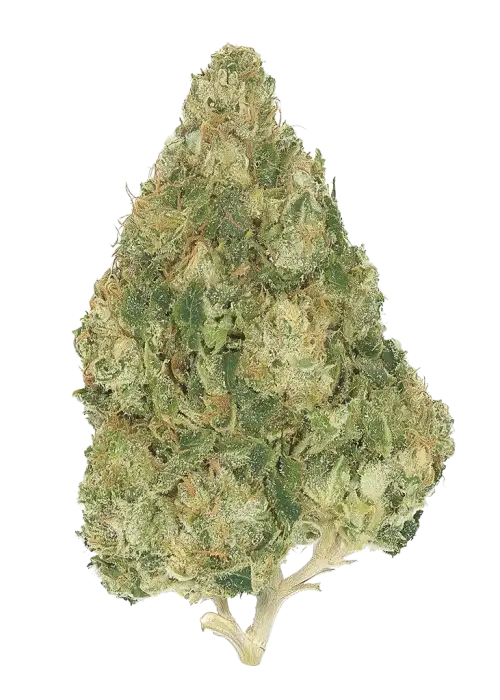 Moonwalker Kush
