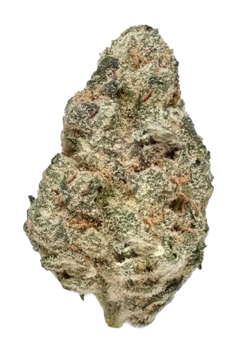 Pink Lemonade
