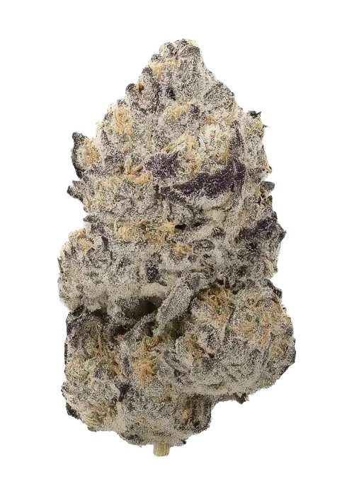Gelato Pie