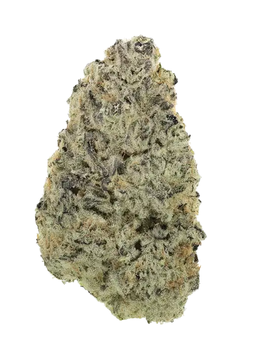 Hippie Crippler