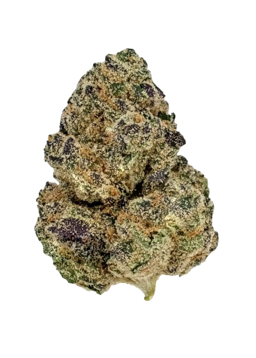 Black Mamba