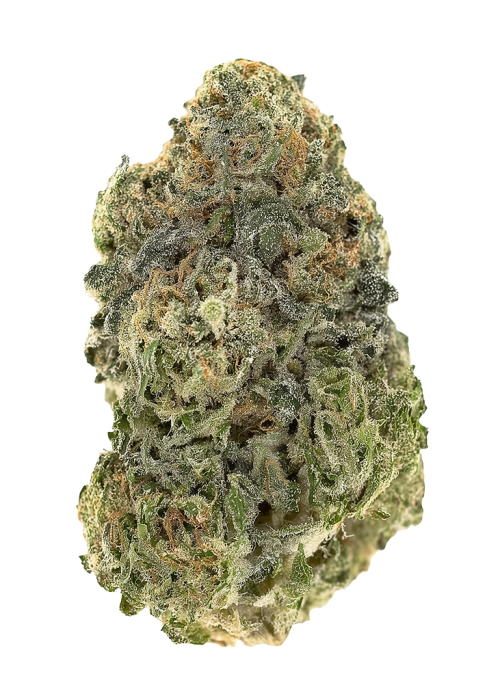 Silver Kush