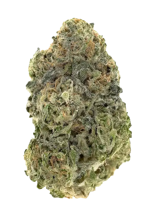 Silver Kush