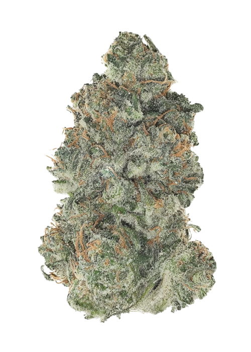 RudeBoi OG
