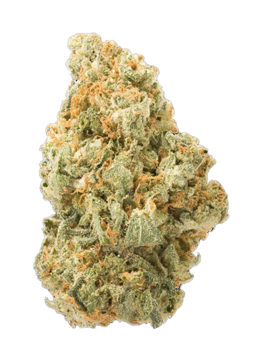 White Lemon