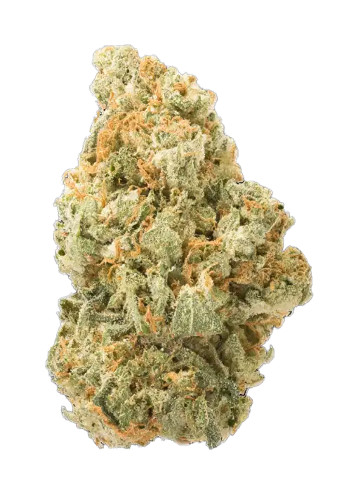 White Lemon
