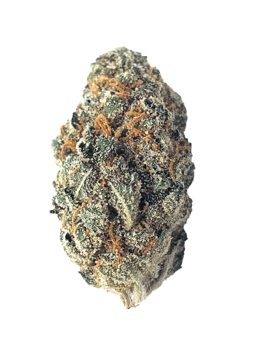 Strawberry Shortcake