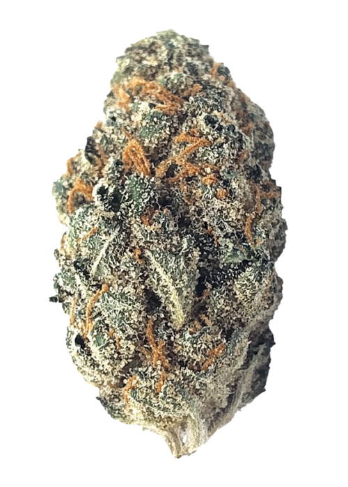 Strawberry Shortcake