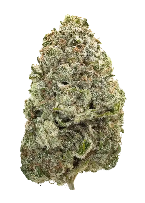 Cinnamon Buddha