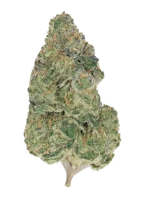 Dream Berry