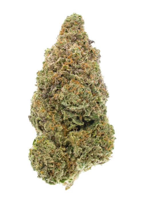 Sour Gorilla