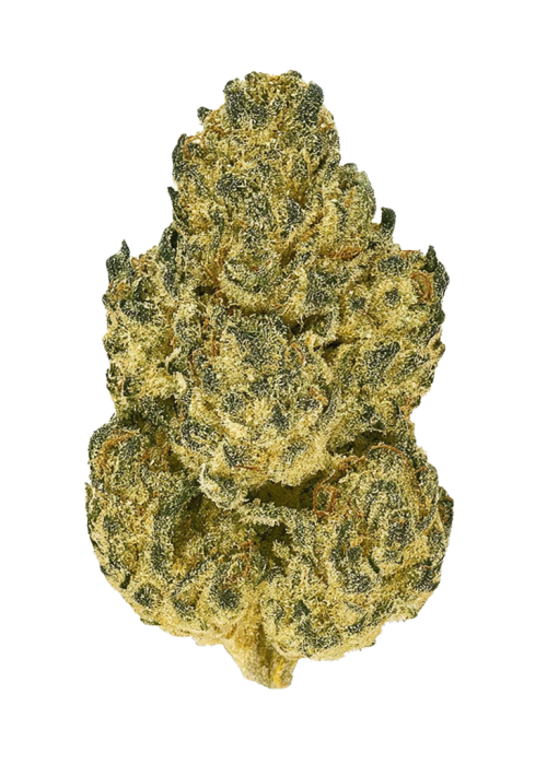 Cookies and Chem