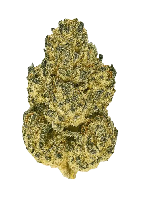 Cookies and Chem