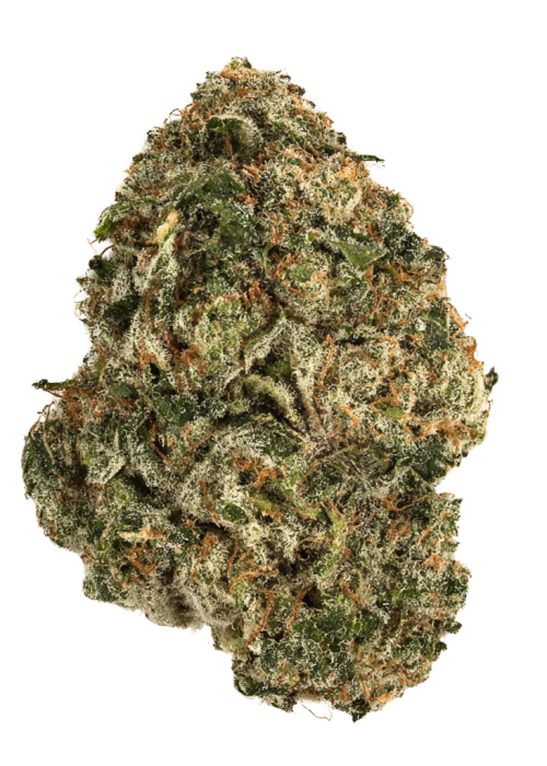 Lowryder #1