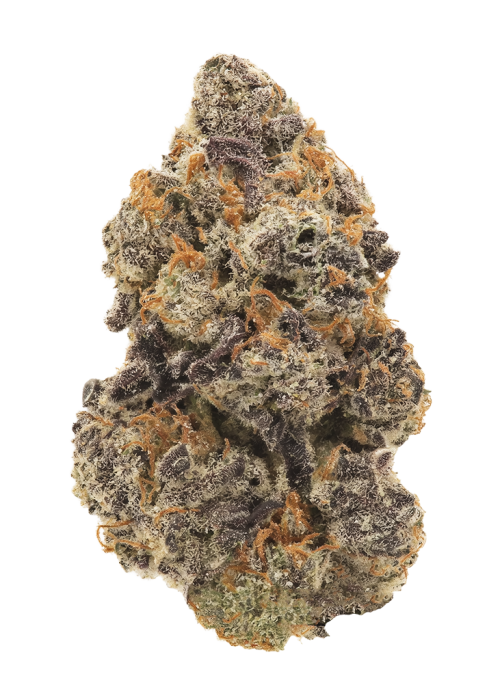 Mag Landrace