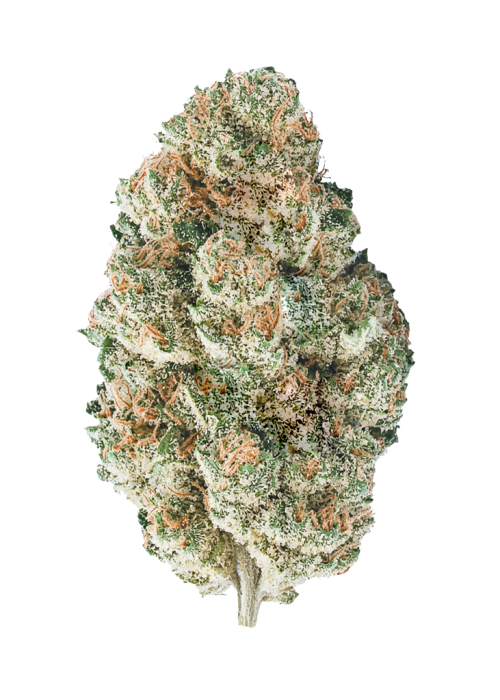 White Fire OG