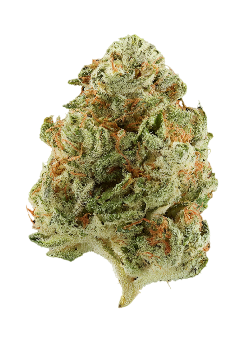 Colorado Chem