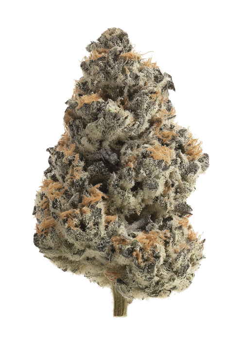 Grape Valley Kush