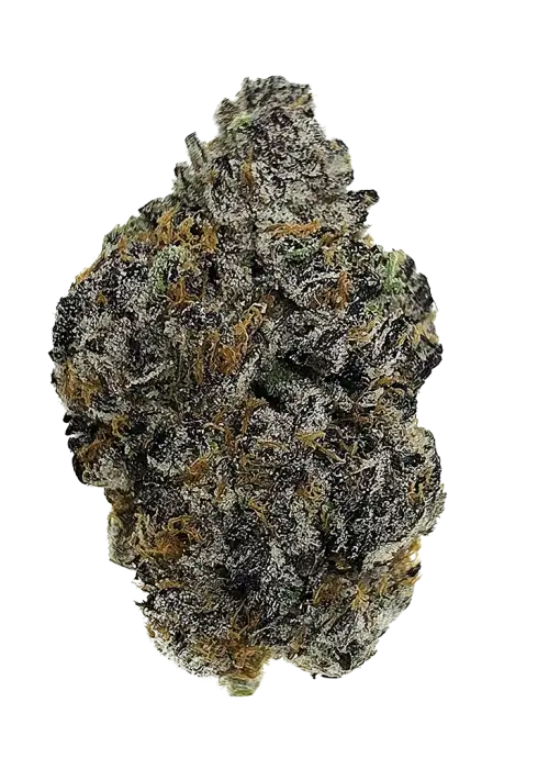 Blueberry Octane