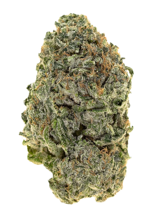 Humboldt OG